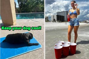 L: black pug on a cooling mat R: reviewer at a beach playing a game of giant beer pong