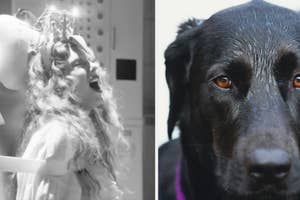 Side-by-side images: Left, child in a costume; right, close-up of a black dog