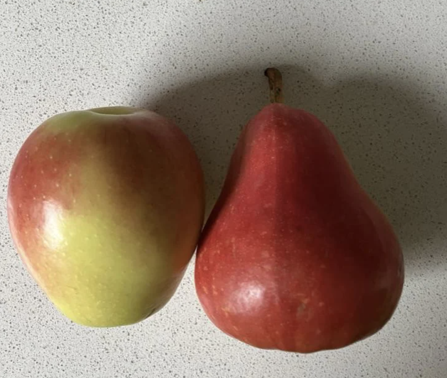 An apple and a pear side by side on a light surface