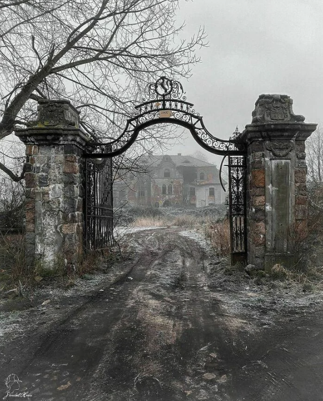 Wrought iron gate partially open leading to an abandoned house with overgrown vegetation