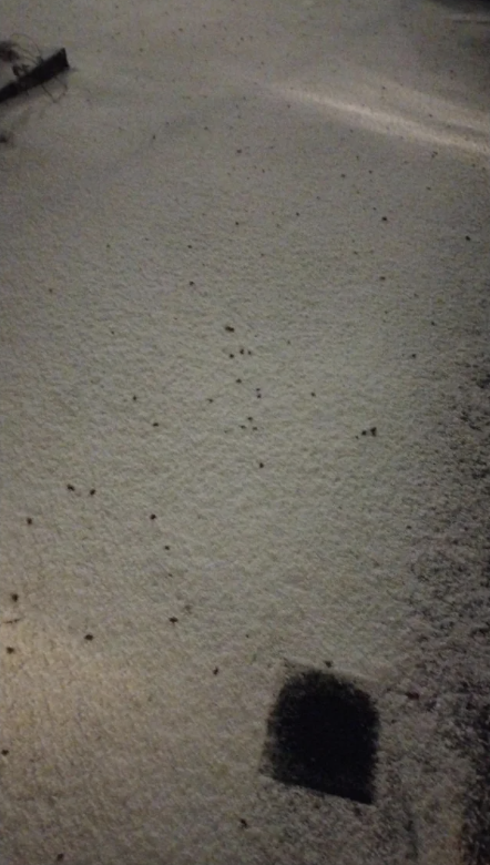 Footprints forming a path on a snow-covered ground, illuminated by light from the upper right corner
