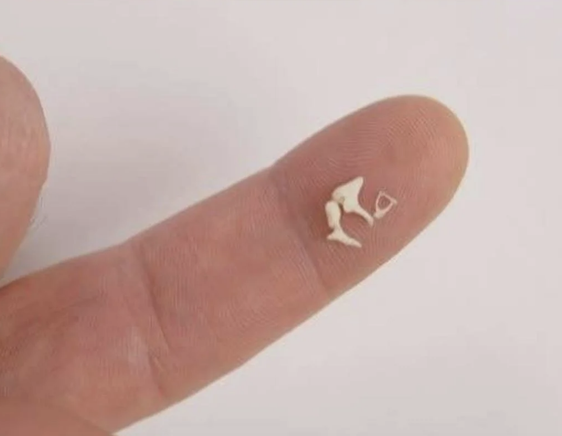 Tiny figurine of bones on a fingertip