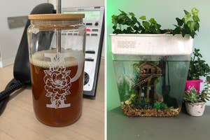 A side-by-side of a jar with fermented beverage on a desk and an aquaponics tank with plants