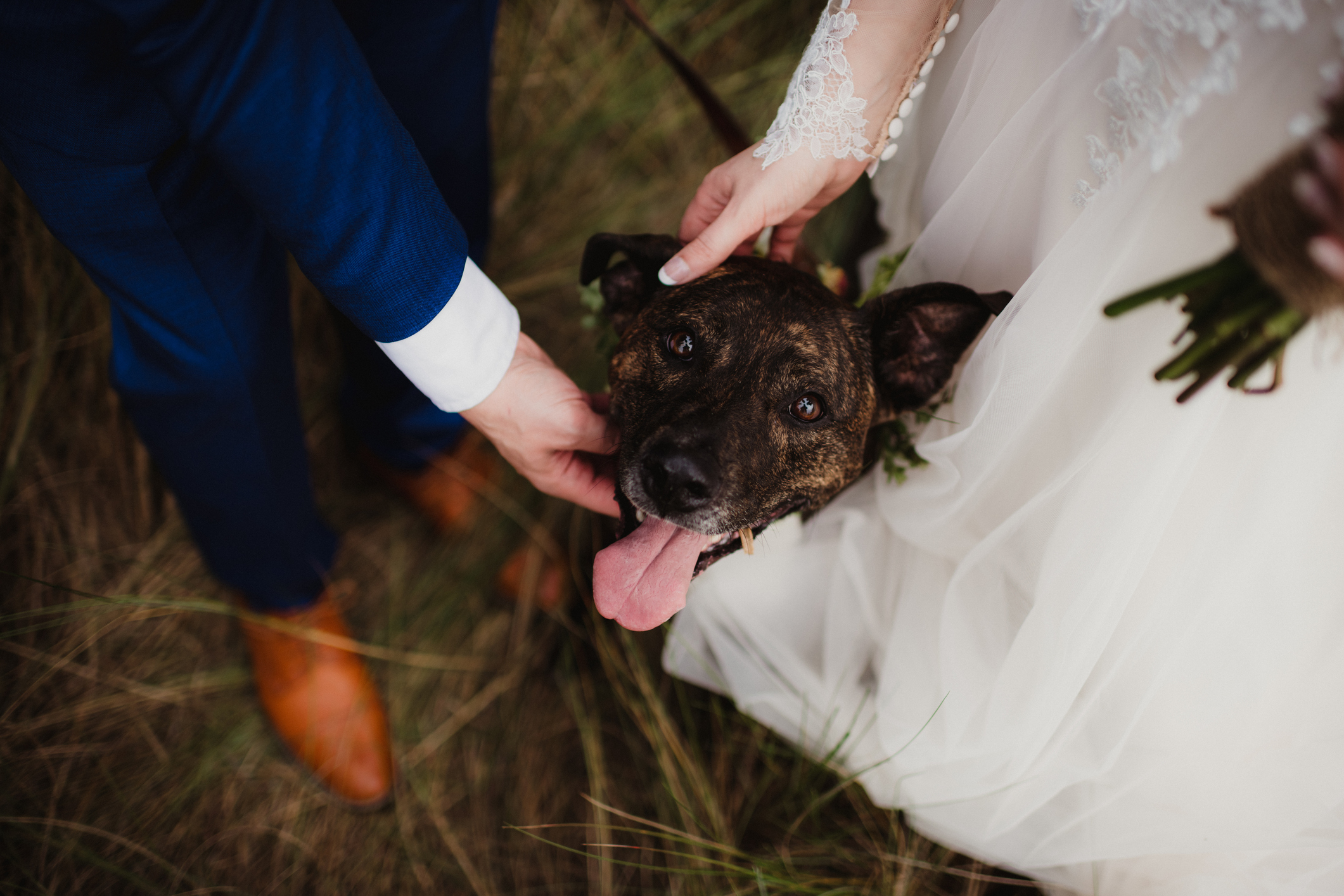 Bride in a lace dress and groom in a blue suit petting a happy dog at a wedding