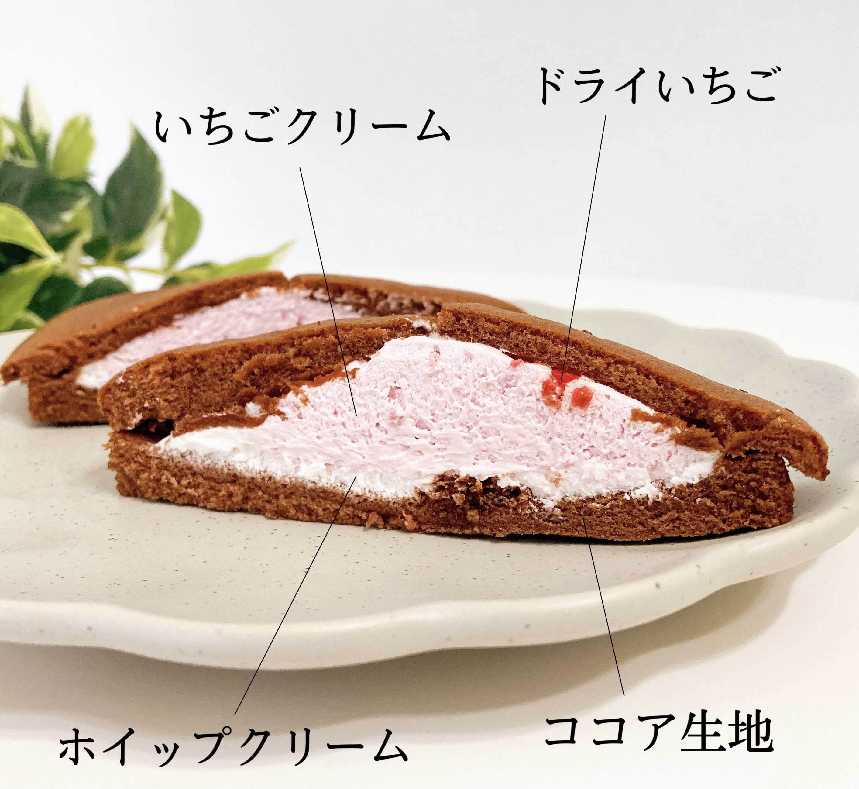 FamilyMart(ファミリーマート)の贅沢スイーツ「ココアダブルクリームサンド」