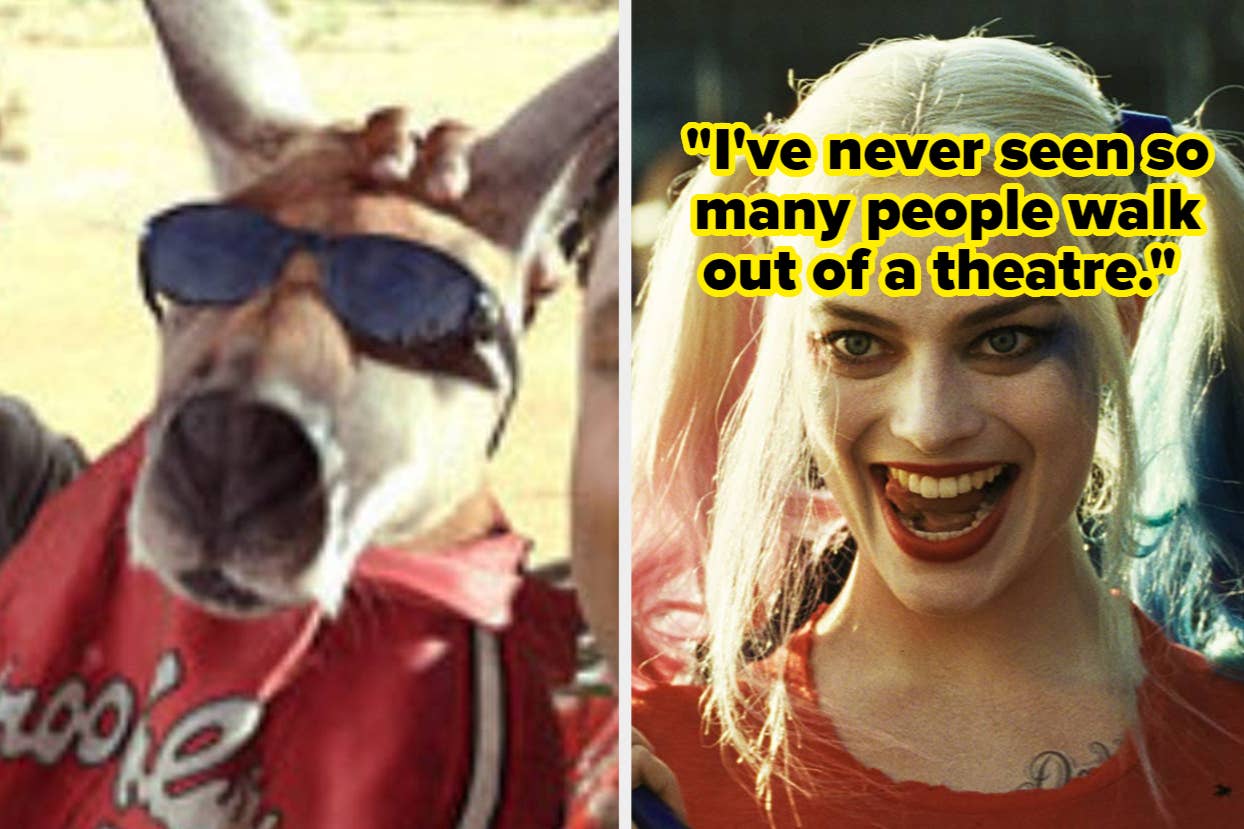 Left: A dog wearing sunglasses and a red shirt. Right: Harley Quinn from a film, with a quote about theater attendance