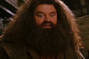 Character Hagrid from Harry Potter with a surprised expression, wearing a shaggy beard and a tattered coat