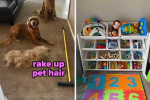 Dog next to a pile of shed fur with a pet hair rake, and a storage unit filled with various children's toys