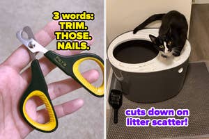 pet nail trimmer scissors / a top entry litter box with a cat on top