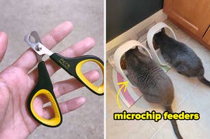 pet nail trimming scissors and two cats eating at microchip feeders