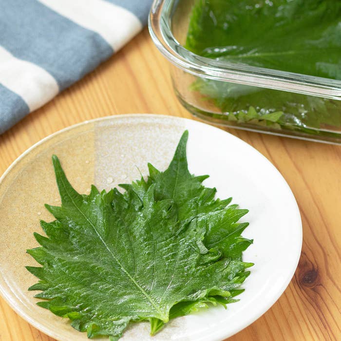 皿の上に置かれた大葉の浅漬け
