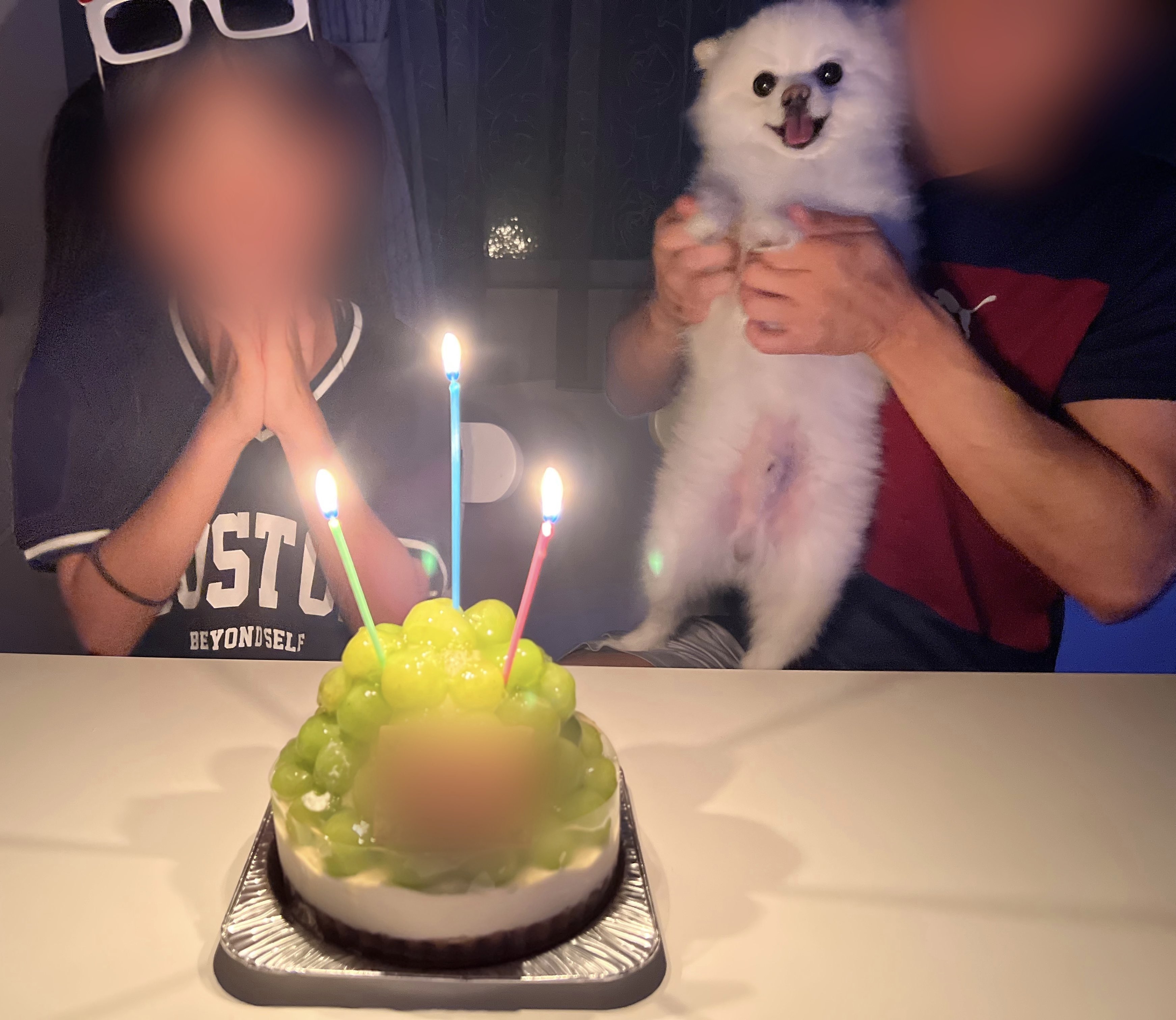 人と犬が誕生日のケーキの前でお祝いしている。人物の顔は識別できません。