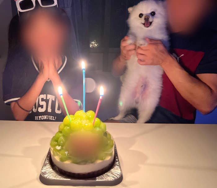 人と犬が誕生日のケーキの前でお祝いしている。人物の顔は識別できません。