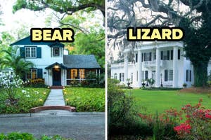 Two houses with labels "BEAR" and "LIZARD" overlaying, suggesting types rather than actual animals
