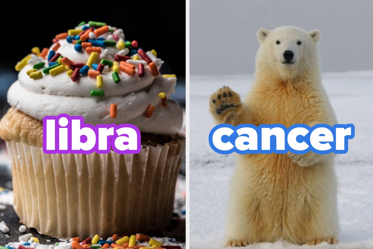 Left: Cupcake with sprinkles and "libra" text. Right: Polar bear standing, "cancer" text overlay