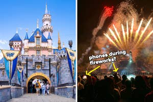 Left: Disneyland Castle entrance with visitors, Right: Crowd watching fireworks display and recording it with phones