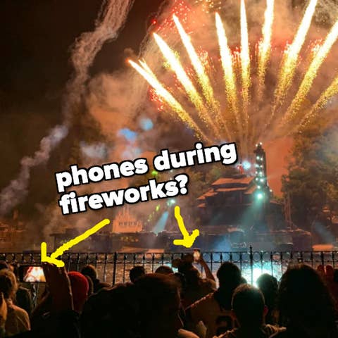 Left: Disneyland Castle entrance with visitors, Right: Crowd watching fireworks display and recording it with phones