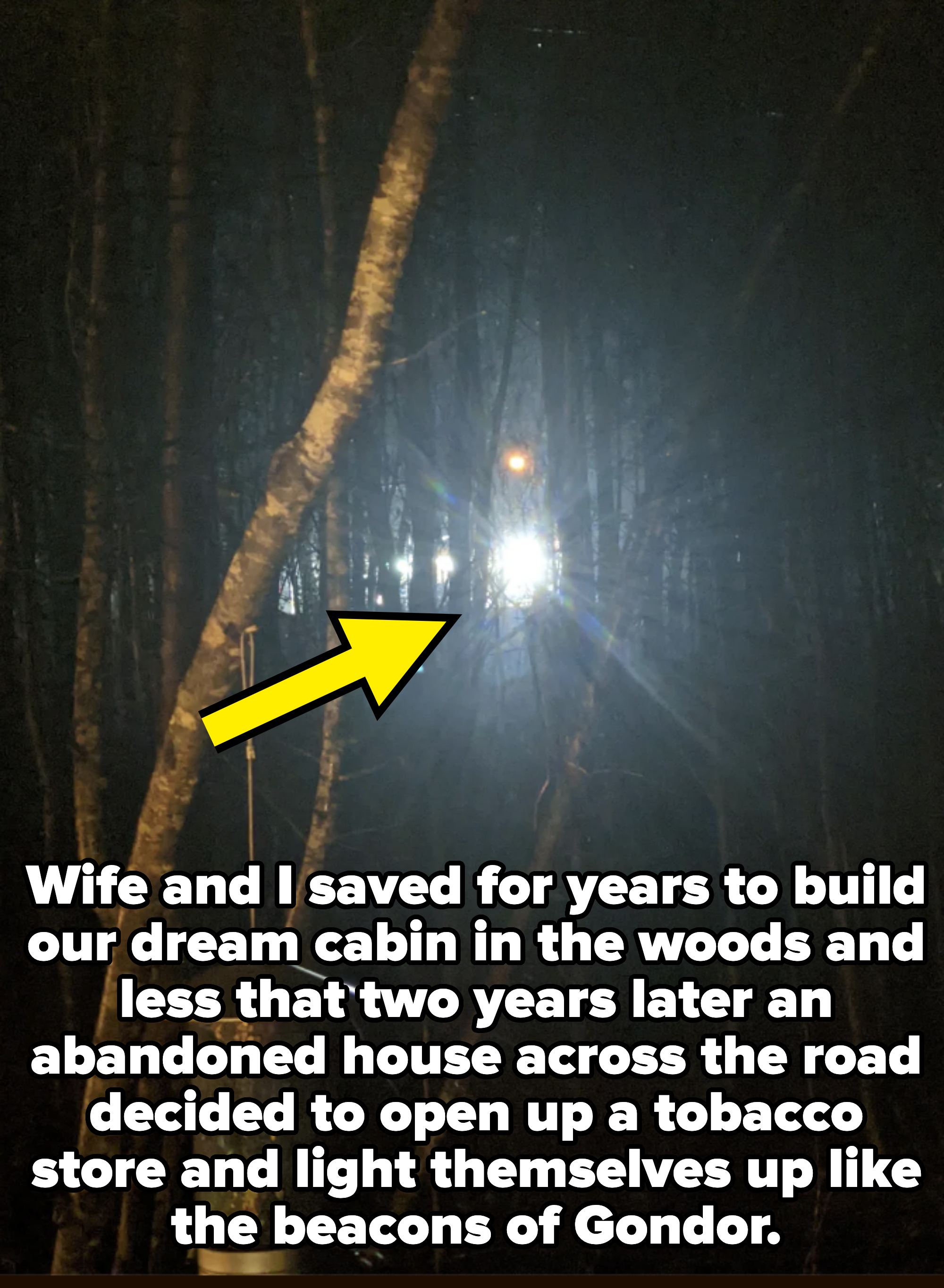 A bright light shines through trees in a dark setting with a bucket hanging from one tree