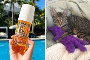 Hand holding sunscreen by a pool; a tabby kitten with a purple toy on a striped couch