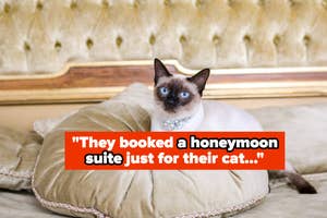 A Siamese cat wearing a pearl necklace sits on a pillow with a quote about booking a honeymoon suite for a cat