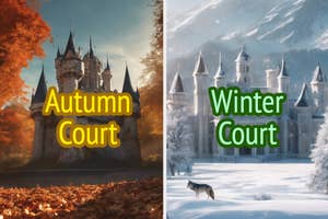 Graphic split between an autumnal castle scene labeled "Autumn Court" and a snowy castle scene titled "Winter Court" with a wolf