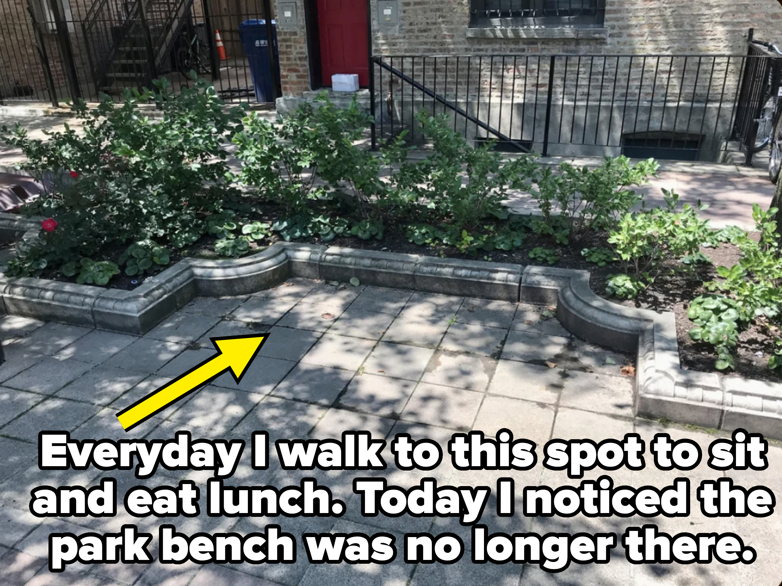 Raised garden beds with assorted plants, surrounded by brick edging, in an outdoor urban setting