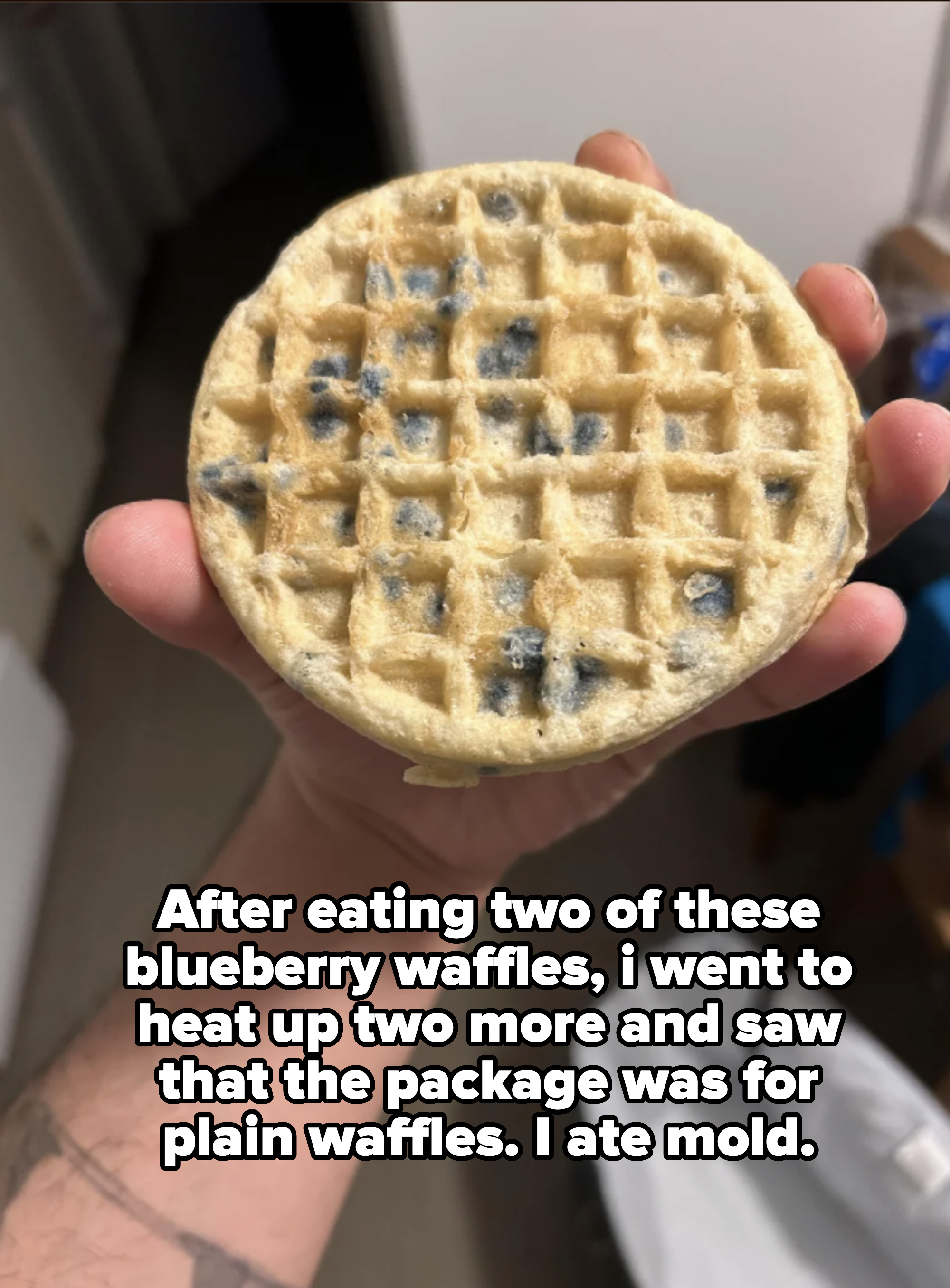 Person holding a blueberry waffle up close to the camera