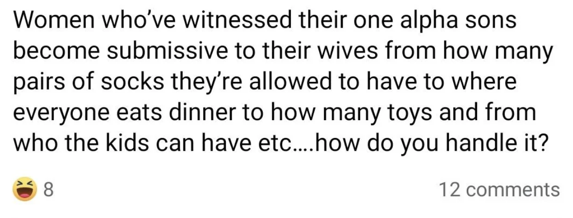 Meme discussing how women see their alpha sons become submissive about household decisions