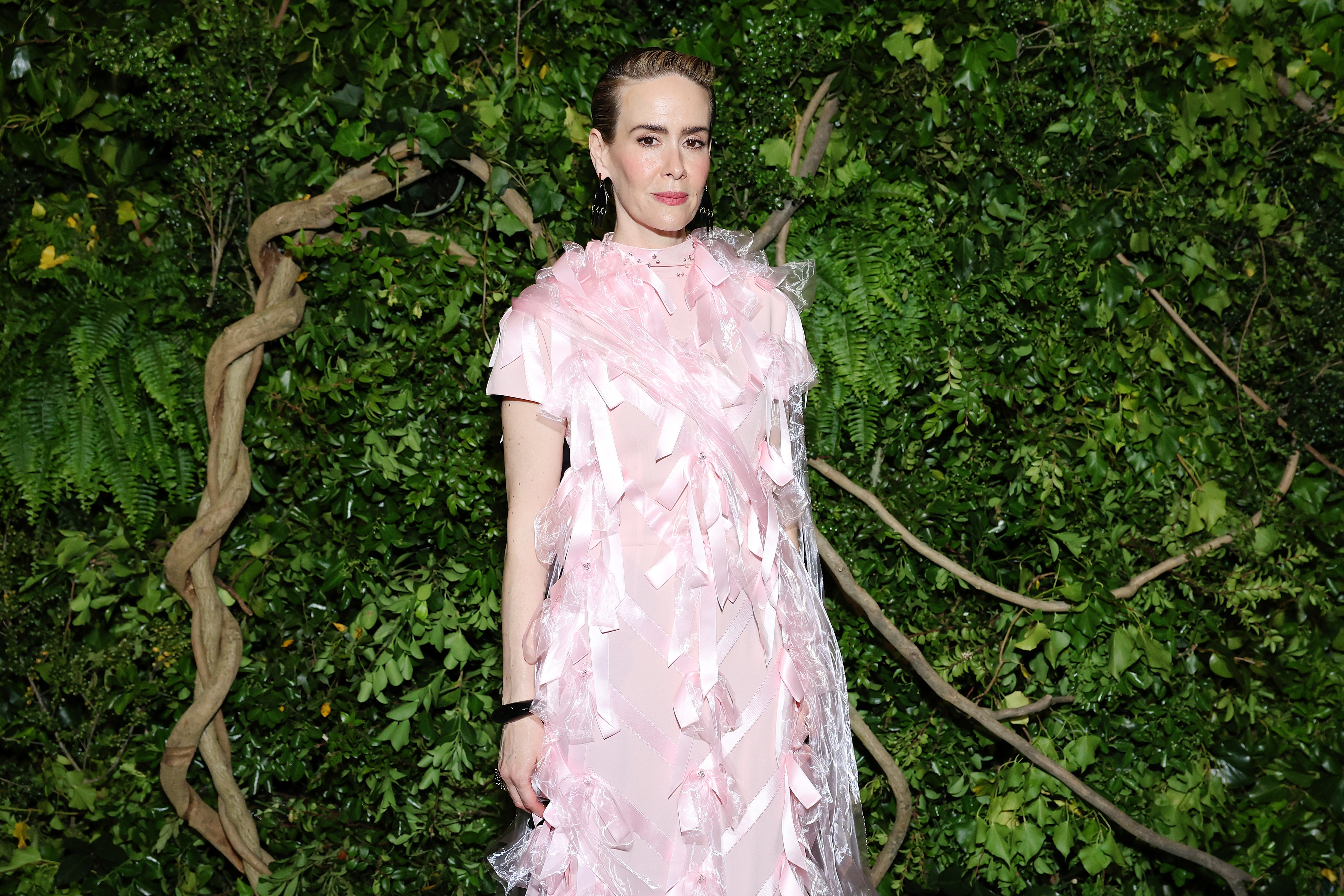 Closeup of Sarah Paulson