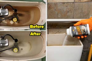 photos of a toilet tank cleaner