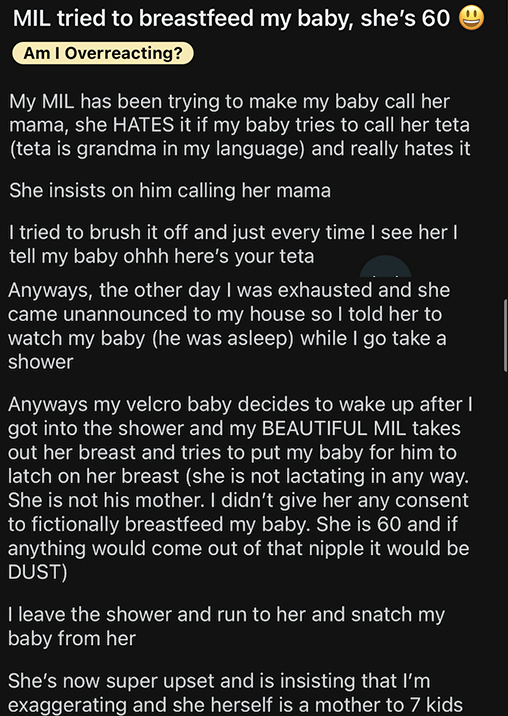 The image shows a screenshot of a lengthy text message discussing childcare and family dynamics