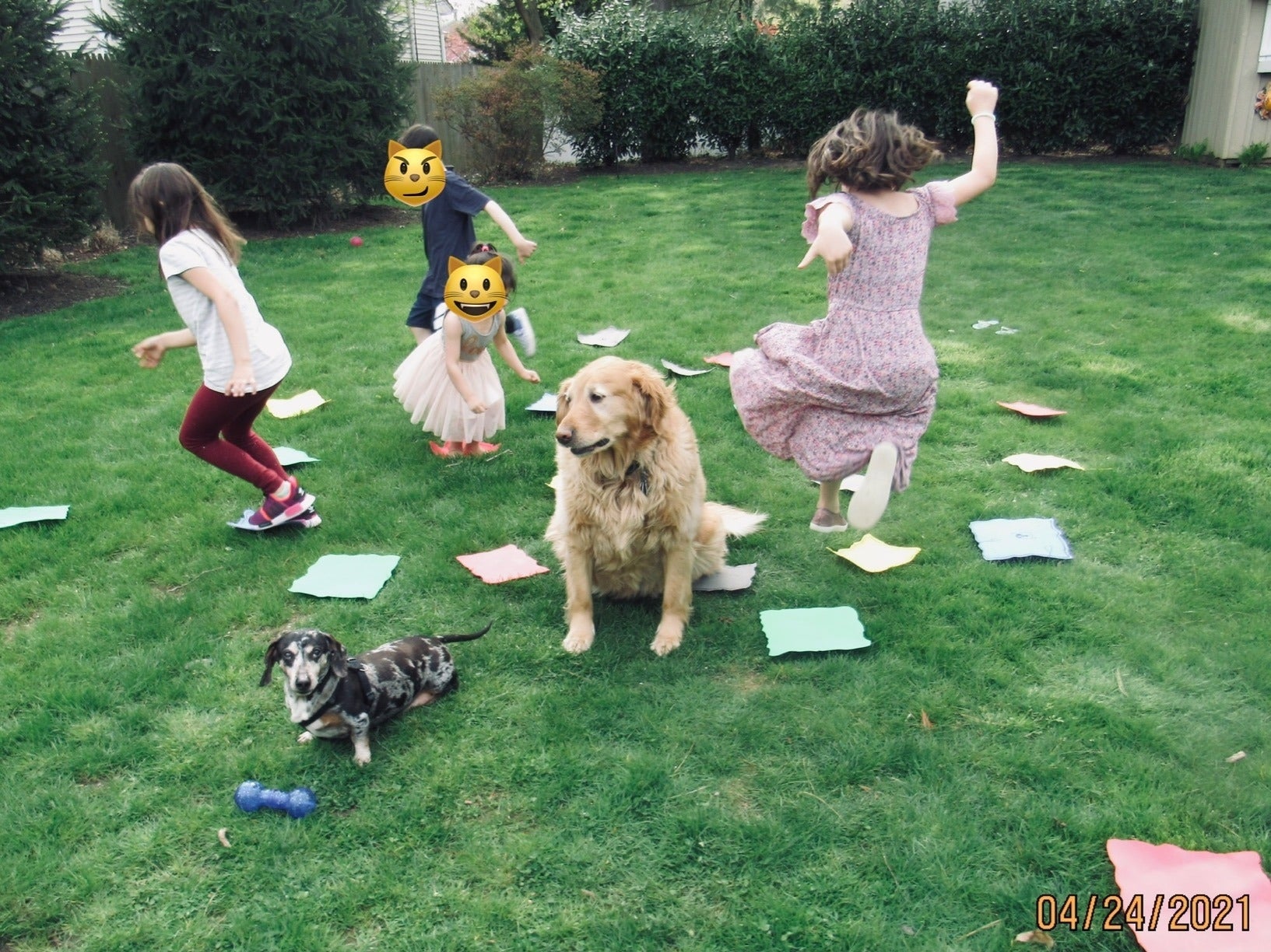 Anak-anak dan anjing bermain di rumput dengan permainan Lantai adalah Lava