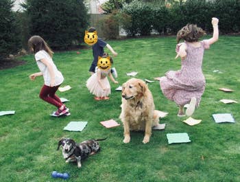 Anak-anak dan anjing bermain di rumput dengan permainan Lantai adalah Lava