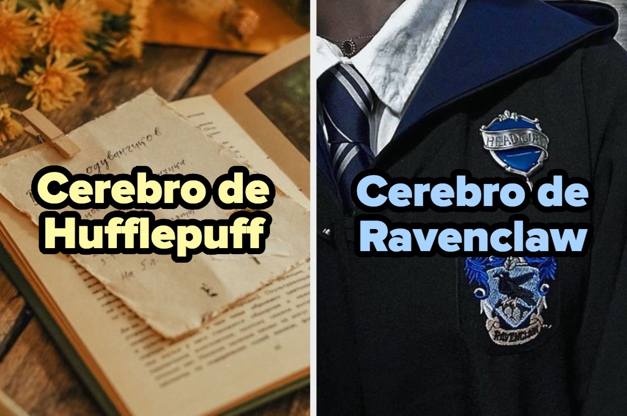 Imagen dividida mostrando dos insignias de Hogwarts: una de Hufflepuff y otra de Ravenclaw, ambas con la frase "Cerebro de"