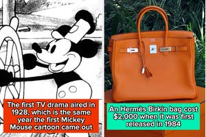 Two-panel image: Left, Mickey Mouse in early animation. Right, Hermes Birkin bag on foliage. Text compares 1928 TV drama and 1984 bag cost