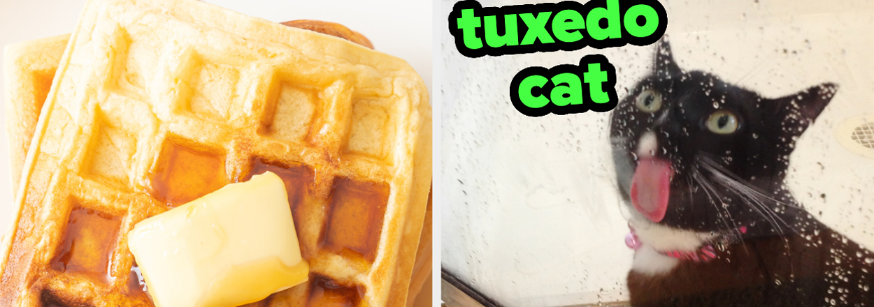 On the left, waffles topped with syrup and butter, and on the right, a cat licking water off a shower door labeled tuxedo cat