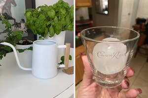 Left: aesthetic watering can next to plant, Right: round ice cube inside cocktail glass
