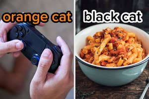 On the left, someone holding a video game controller labeled orange cat, and on the right, a bowl of pasta labeled black cat