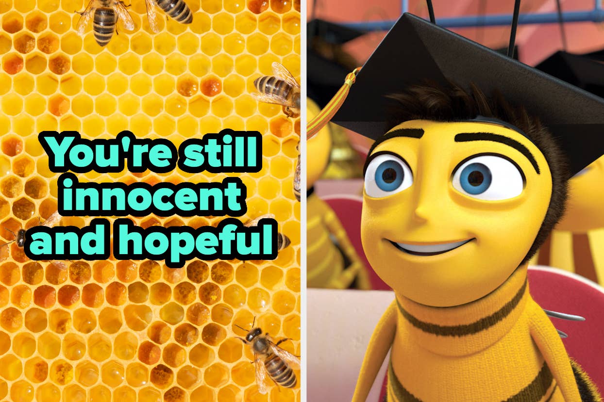 Barry B. Benson from Bee Movie in a graduation cap next to text "You're still innocent and hopeful" with honeycomb background