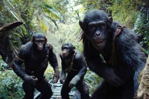 Noa, Soona and Anaya walking in the forest in the Kingdom of the Planet of the Apes