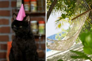 On the left, Salem from Sabrina the Teenage Witch wearing a party hat, and on the right, a hammock on the beach