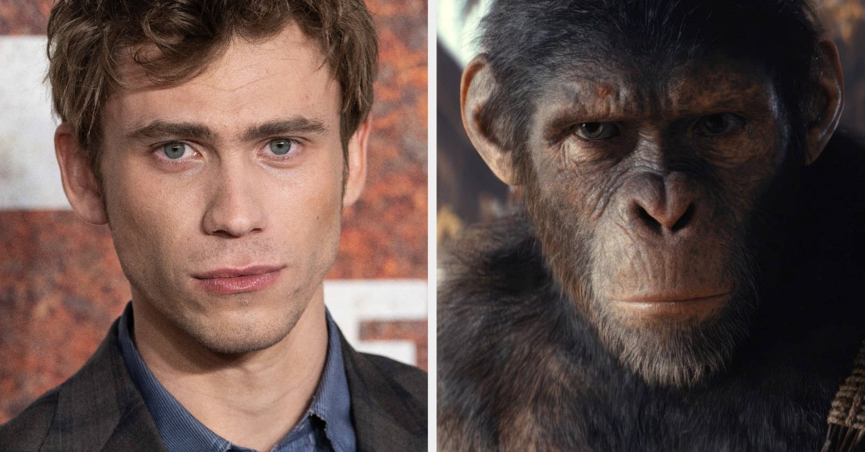 Image for article The Kingdom Of The Planet Of The Apes Cast Guide  BuzzFeed