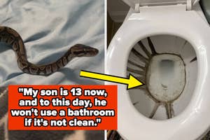 Snake on a bed; dirty toilet bowl with a quote about bathroom cleanliness