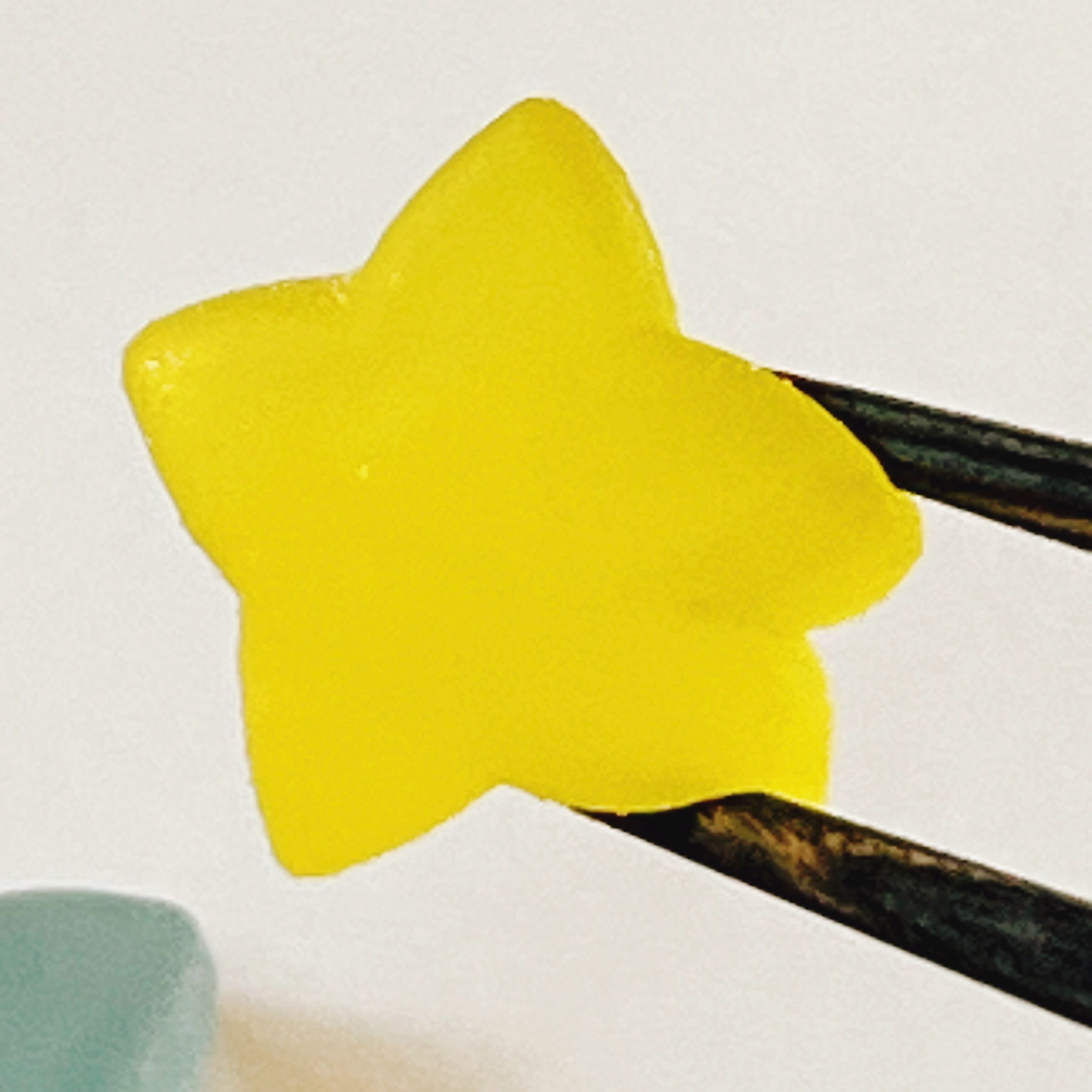 東京ディズニーランドのおすすめ土産「グミ缶 ドナルド」