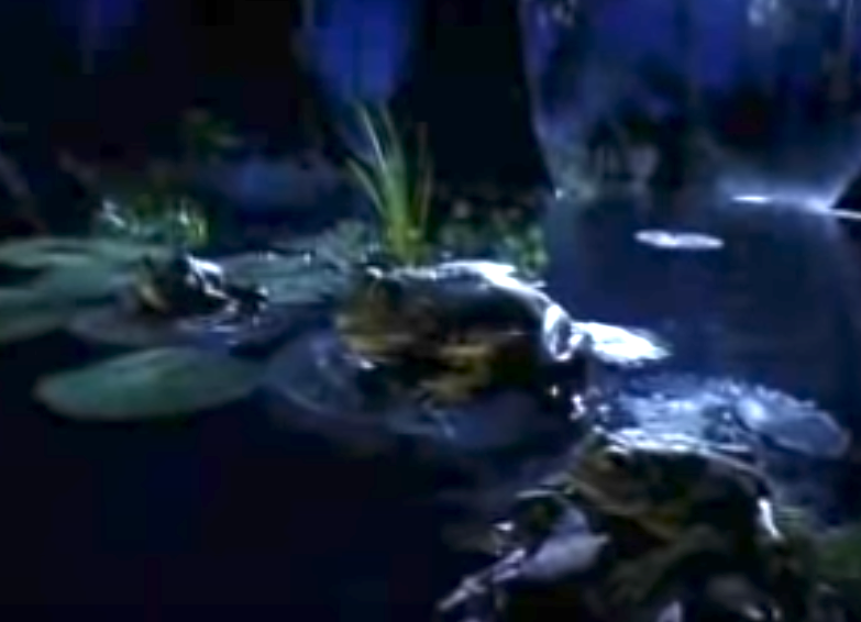 Scene from 1995 film &quot;Jumanji&quot; showing the enchanted board game on a lily pad
