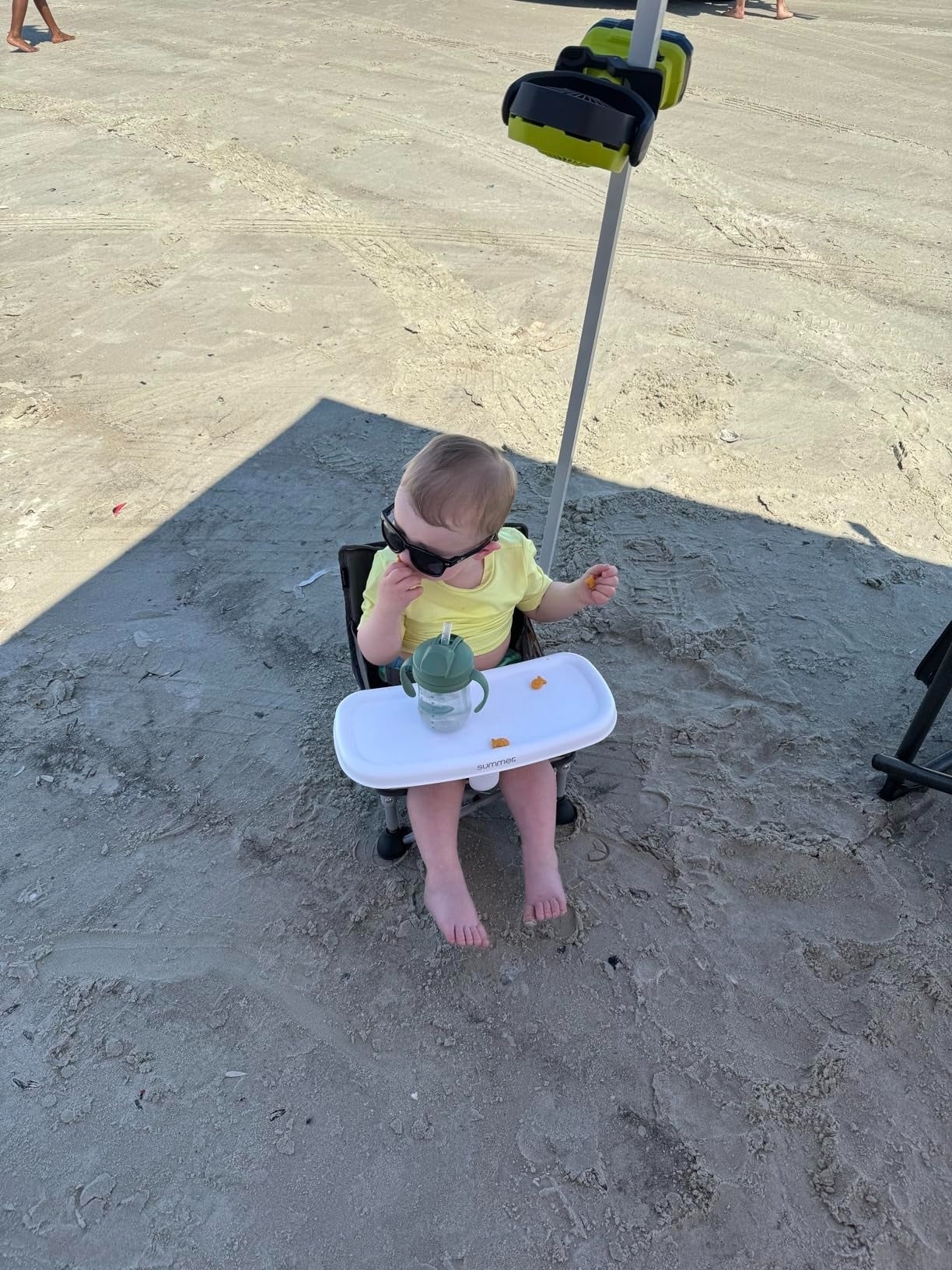 Toddler successful  precocious   seat  connected  formation  with sunglasses and a sippy cup