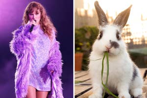Left: Taylor Swift performing in a sparkly outfit with a purple feather coat. Right: A white rabbit eating a green leaf