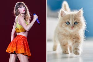 Taylor Swift performs on stage, glittering top and skirt; fluffy kitten stands alert
