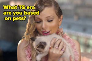 Taylor Swift holding a small cat with a caption asking about TS era based on pets