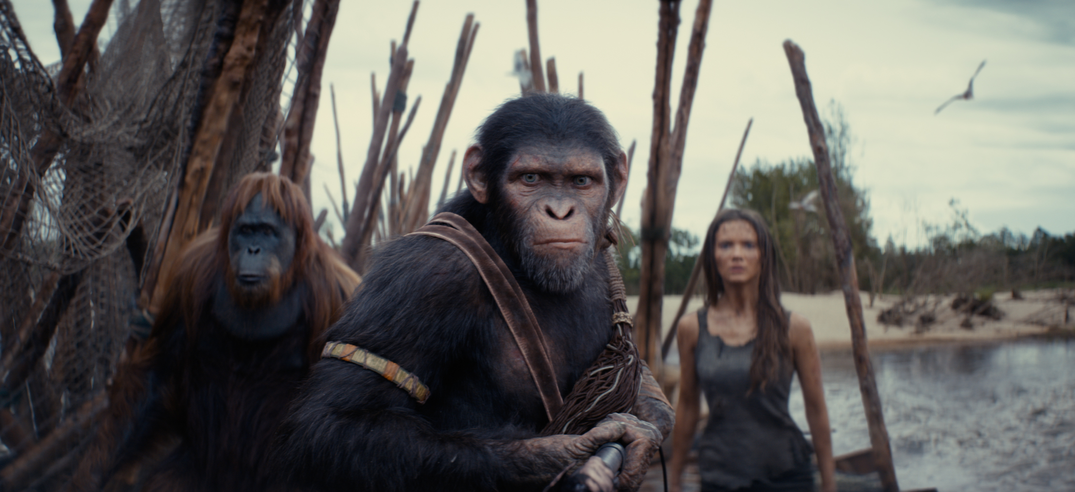 Caesar and Maurice from &quot;Planet of the Apes&quot; with a woman on a shore, looking determined